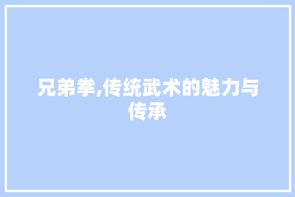 兄弟拳,传统武术的魅力与传承