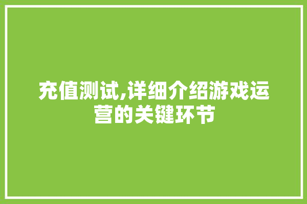 充值测试,详细介绍游戏运营的关键环节