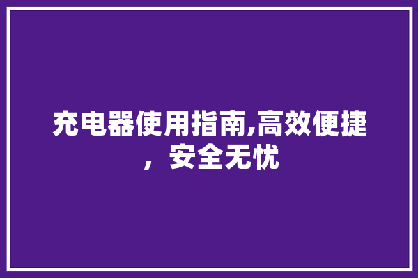 充电器使用指南,高效便捷，安全无忧