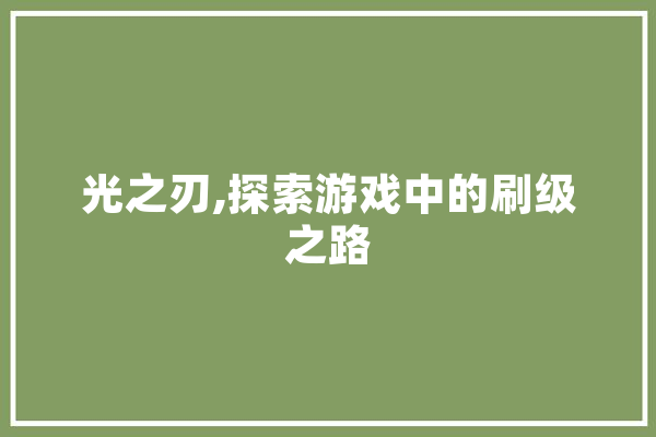 光之刃,探索游戏中的刷级之路