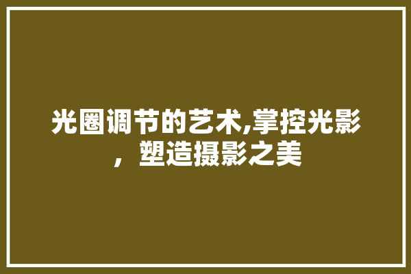 光圈调节的艺术,掌控光影，塑造摄影之美 智能问答