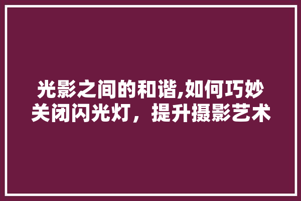 光影之间的和谐,如何巧妙关闭闪光灯，提升摄影艺术境界