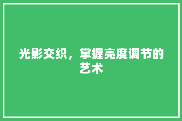光影交织，掌握亮度调节的艺术