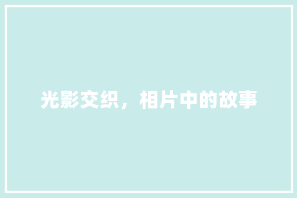 光影交织，相片中的故事