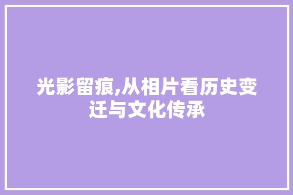光影留痕,从相片看历史变迁与文化传承 智能助手