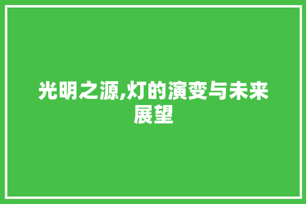 光明之源,灯的演变与未来展望
