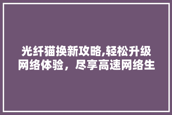 光纤猫换新攻略,轻松升级网络体验，尽享高速网络生活 云服务