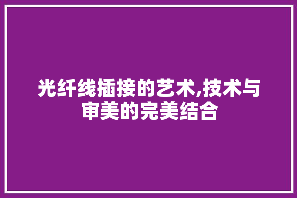 光纤线插接的艺术,技术与审美的完美结合