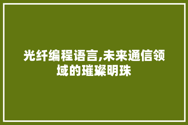 光纤编程语言,未来通信领域的璀璨明珠