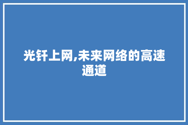 光钎上网,未来网络的高速通道