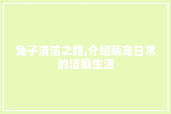 兔子清洁之路,介绍萌宠日常的洁癖生活