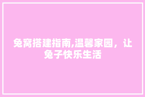 兔窝搭建指南,温馨家园，让兔子快乐生活