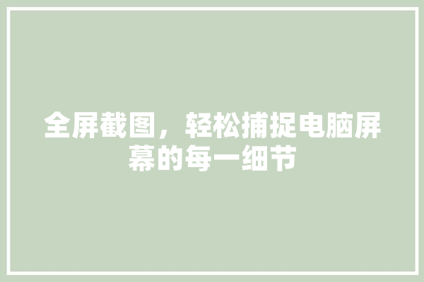 全屏截图，轻松捕捉电脑屏幕的每一细节