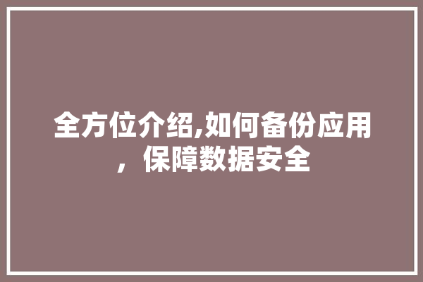 全方位介绍,如何备份应用，保障数据安全