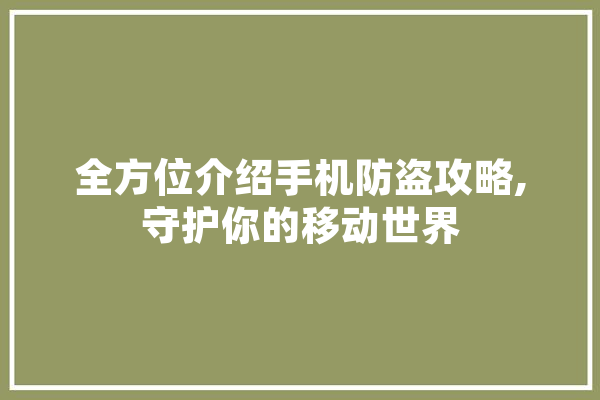 全方位介绍手机防盗攻略,守护你的移动世界