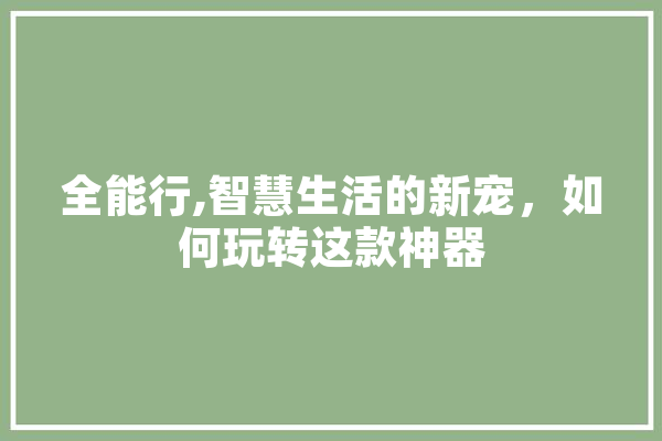 全能行,智慧生活的新宠，如何玩转这款神器