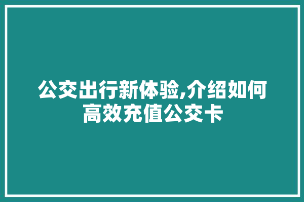 公交出行新体验,介绍如何高效充值公交卡