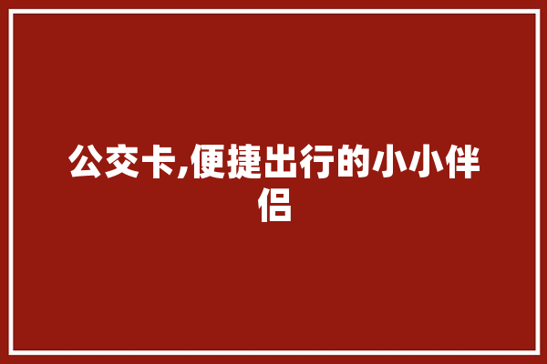 公交卡,便捷出行的小小伴侣 智能助手