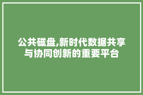 公共磁盘,新时代数据共享与协同创新的重要平台