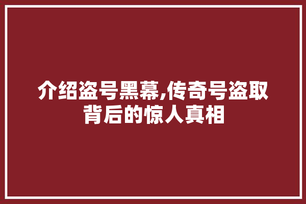 介绍盗号黑幕,传奇号盗取背后的惊人真相