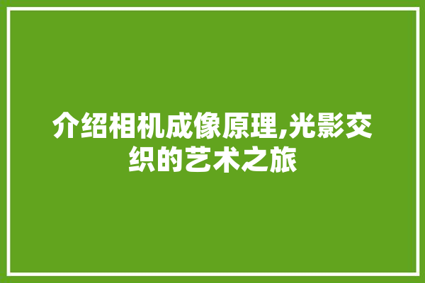 介绍相机成像原理,光影交织的艺术之旅