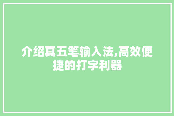 介绍真五笔输入法,高效便捷的打字利器