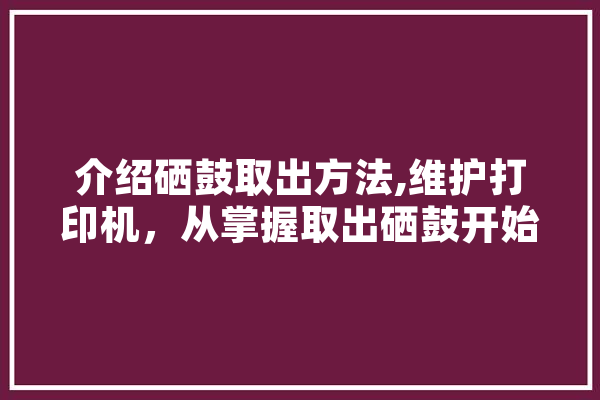 介绍硒鼓取出方法,维护打印机，从掌握取出硒鼓开始
