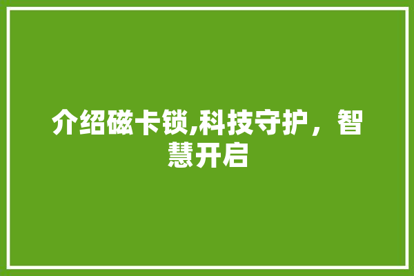 介绍磁卡锁,科技守护，智慧开启