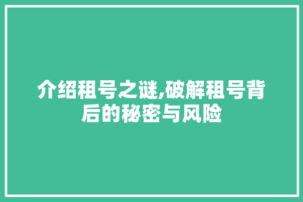 介绍租号之谜,破解租号背后的秘密与风险