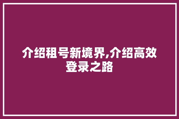 介绍租号新境界,介绍高效登录之路