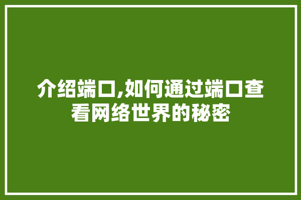 介绍端口,如何通过端口查看网络世界的秘密