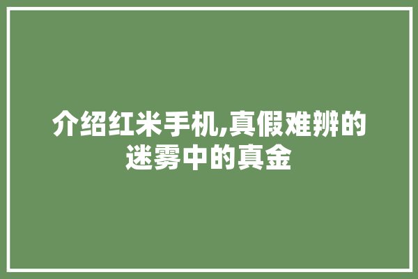 介绍红米手机,真假难辨的迷雾中的真金