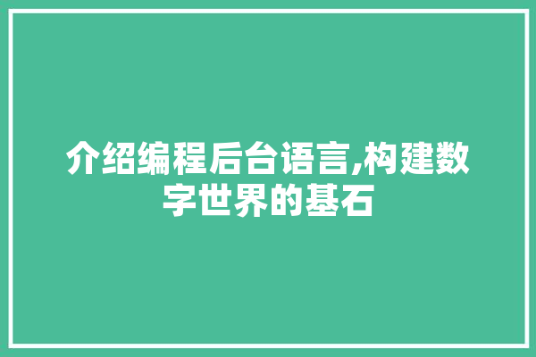 介绍编程后台语言,构建数字世界的基石