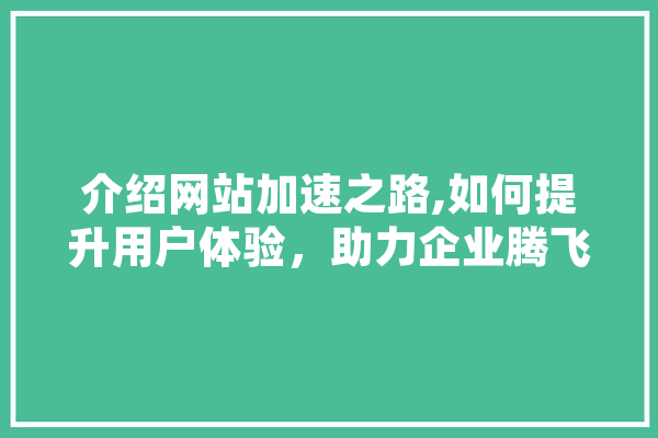 介绍网站加速之路,如何提升用户体验，助力企业腾飞 科技快讯