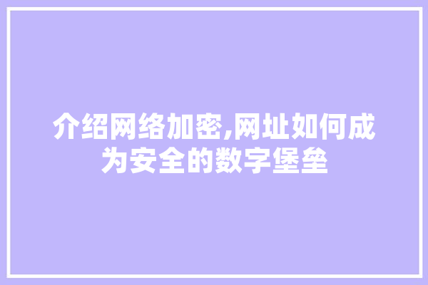 介绍网络加密,网址如何成为安全的数字堡垒