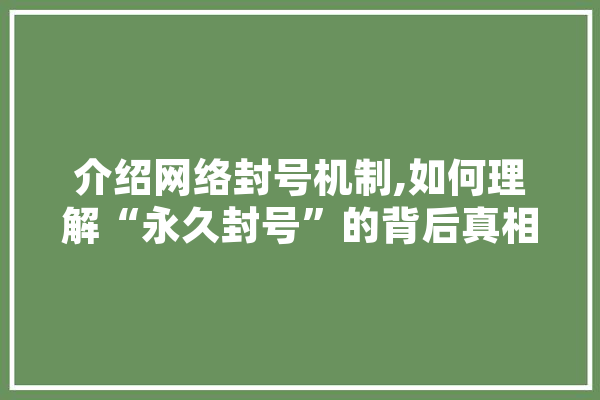 介绍网络封号机制,如何理解“永久封号”的背后真相
