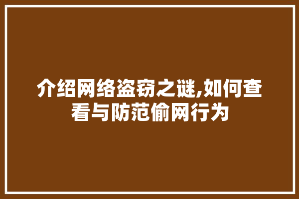 介绍网络盗窃之谜,如何查看与防范偷网行为