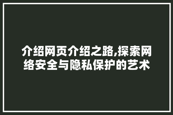 介绍网页介绍之路,探索网络安全与隐私保护的艺术