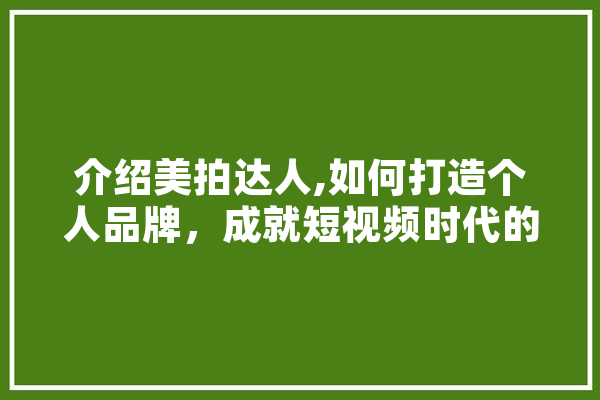 介绍美拍达人,如何打造个人品牌，成就短视频时代的新星