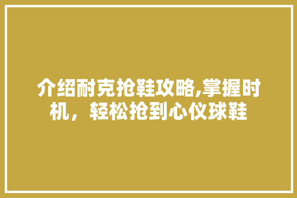介绍耐克抢鞋攻略,掌握时机，轻松抢到心仪球鞋
