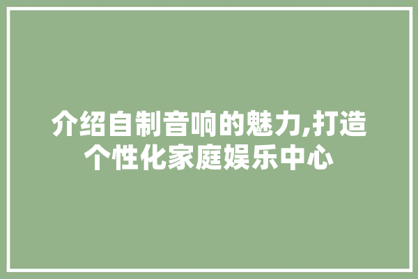 介绍自制音响的魅力,打造个性化家庭娱乐中心 科技快讯