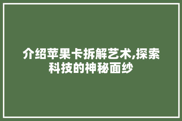 介绍苹果卡拆解艺术,探索科技的神秘面纱