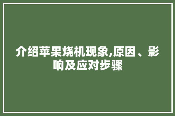介绍苹果烧机现象,原因、影响及应对步骤