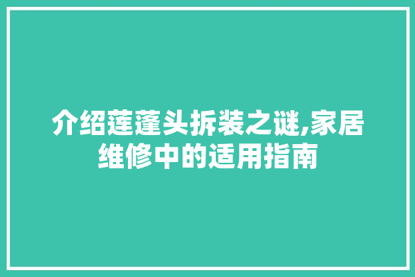 介绍莲蓬头拆装之谜,家居维修中的适用指南