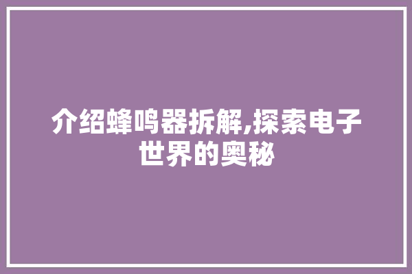 介绍蜂鸣器拆解,探索电子世界的奥秘 AI简讯