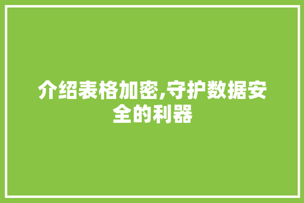 介绍表格加密,守护数据安全的利器