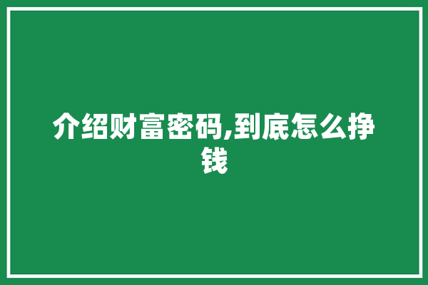 介绍财富密码,到底怎么挣钱