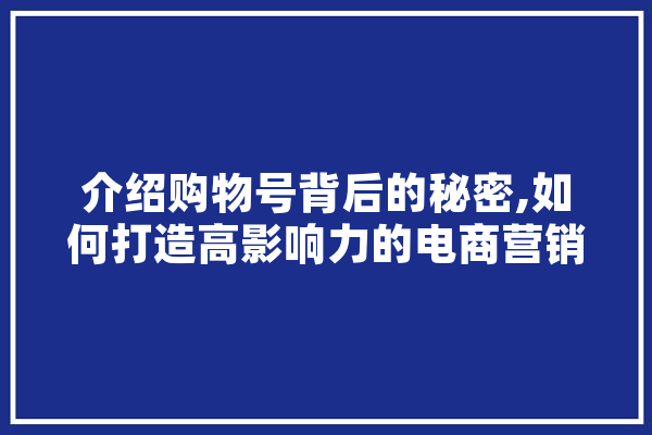 介绍购物号背后的秘密,如何打造高影响力的电商营销平台