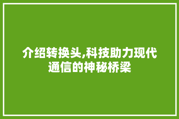 介绍转换头,科技助力现代通信的神秘桥梁