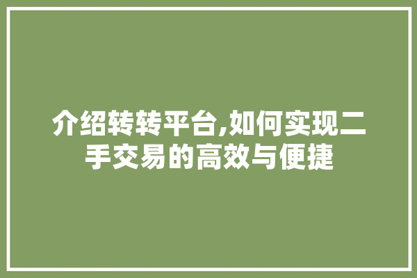 介绍转转平台,如何实现二手交易的高效与便捷 绘影字幕